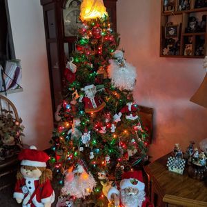 Meet your Posher, Robin